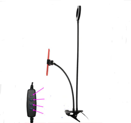 Phone Stand with Ring Light for Live Streaming
