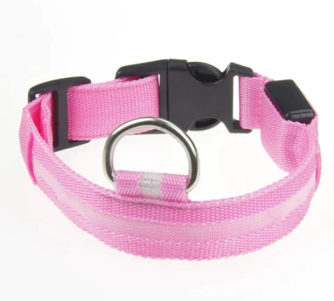 LED rechargeable dog collar for night walks